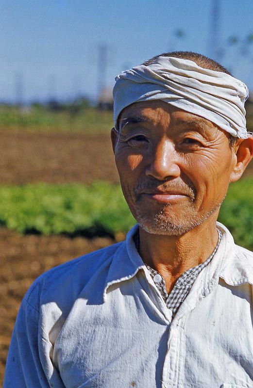 1952-3 Japan 118 Farmer.jpg